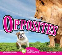 Cover image for Opposites