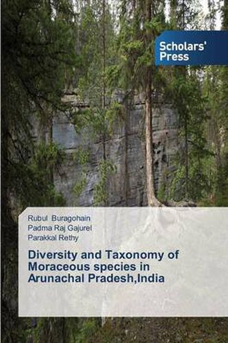 Cover image for Diversity and Taxonomy of Moraceous species in Arunachal Pradesh, India