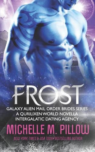 Cover image for Frost: A Qurilixen World Novella