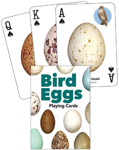 Cover image for Bird Eggs Playing Cards
