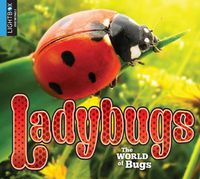 Cover image for Ladybugs