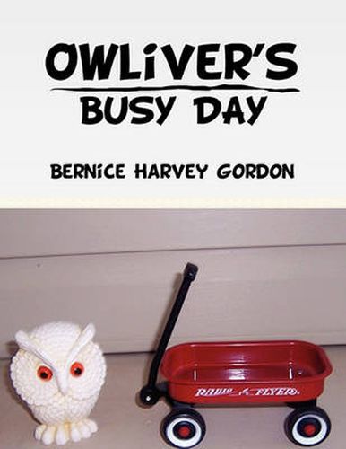 Cover image for Owliver's Busy Day