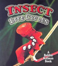 Cover image for Insect Life Cycles