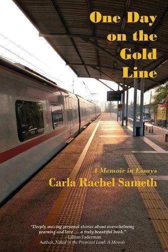 Cover image for One Day on the Gold Line