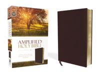 Cover image for Amplified Holy Bible, Bonded Leather, Burgundy: Captures the Full Meaning Behind the Original Greek and Hebrew