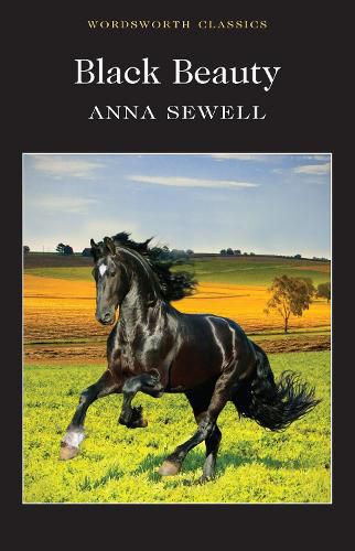 Cover image for Black Beauty