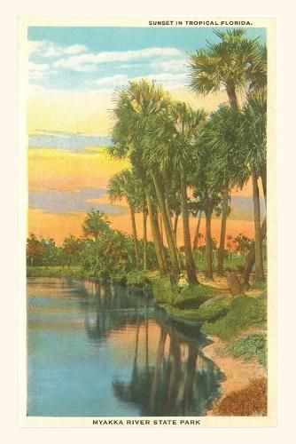 Cover image for Vintage Journal Sunset in Tropical Florida, Myakka River State Park