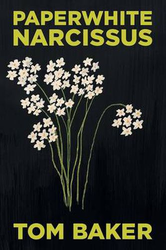 Cover image for Paperwhite Narcissus