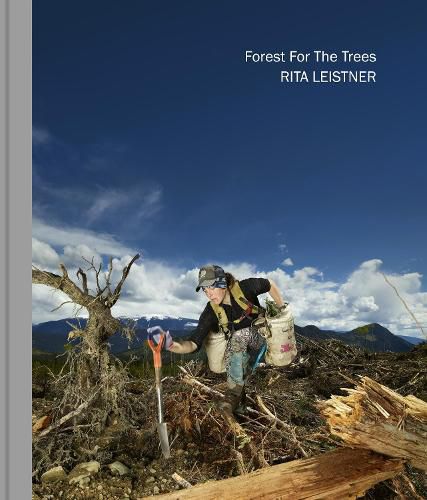 Cover image for Forest For The Trees