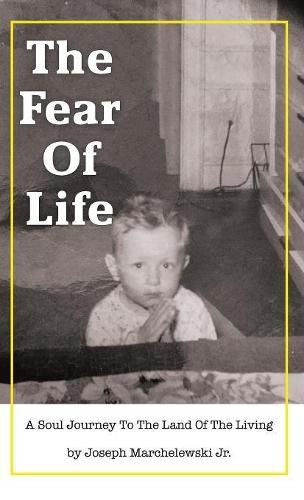 Cover image for The Fear of Life