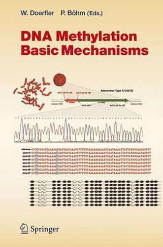 Cover image for DNA Methylation: Basic Mechanisms