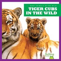 Cover image for Tiger Cubs in the Wild