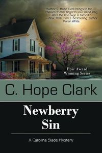 Cover image for Newberry Sin