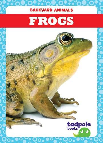 Frogs