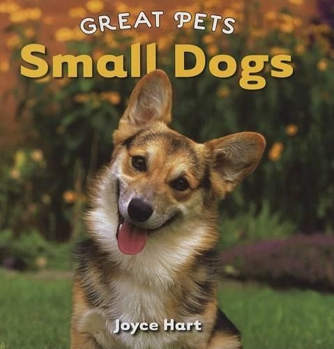 Cover image for Small Dogs