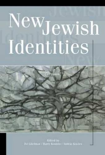 Cover image for New Jewish Identities