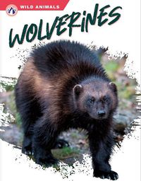 Cover image for Wolverines