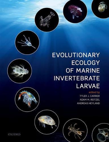 Cover image for Evolutionary Ecology of Marine Invertebrate Larvae