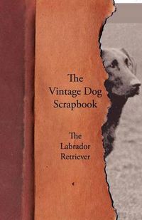 Cover image for The Vintage Dog Scrapbook - The Labrador Retriever