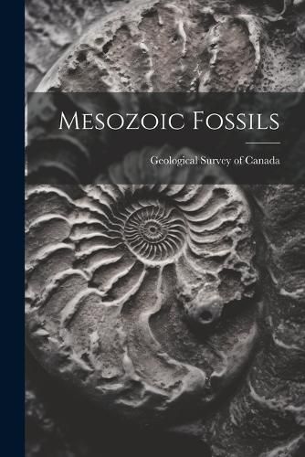 Cover image for Mesozoic Fossils