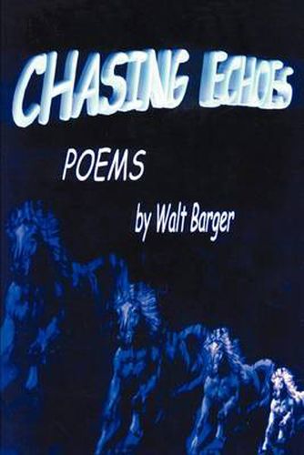 Cover image for Chasing Echoes