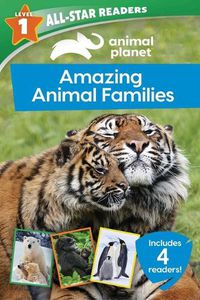 Cover image for Animal Planet All-Star Readers: Amazing Animal Families Level 1: Includes 4 Readers!