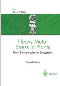 Cover image for Heavy Metal Stress in Plants: From Biomolecules to Ecosystems