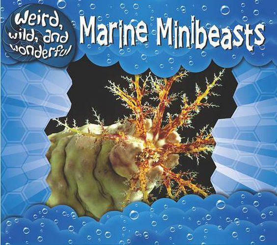 Cover image for Marine Minibeasts