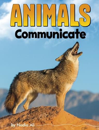 Cover image for Animals Communicate