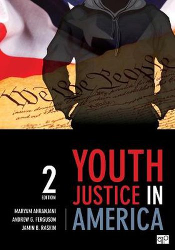 Cover image for Youth Justice in America