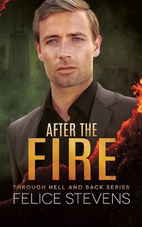 Cover image for After the Fire