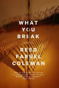Cover image for What You Break: A Gus Murphy Novel
