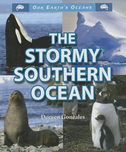 Cover image for The Stormy Southern Ocean