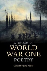 Cover image for A History of World War One Poetry