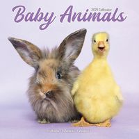 Cover image for Baby Animals Calendar 2025 Square Animal Wall Calendar - 16 Month