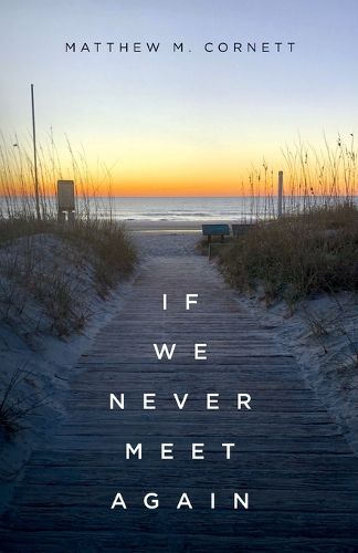 Cover image for If We Never Meet Again