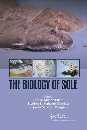 Cover image for The Biology of Sole