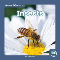 Cover image for Insects