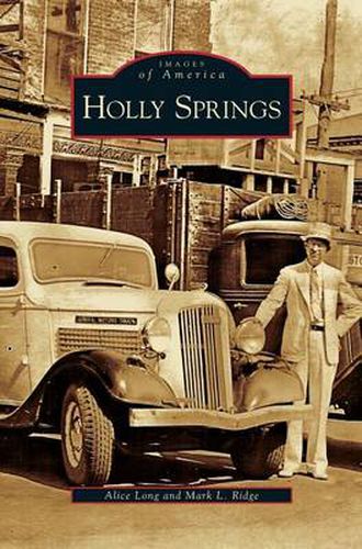 Cover image for Holly Springs