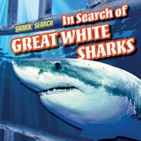 Cover image for In Search of Great White Sharks