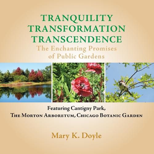 Cover image for Tranquility Transformation Transcendence