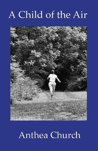 Cover image for A Child of the Air