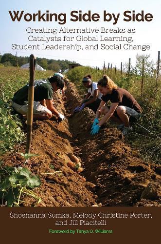 Cover image for Working Side by Side: Creating Alternative Breaks as Catalysts for Global Learning, Student Leadership, and Social Change