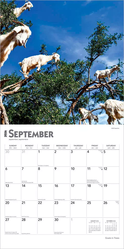 Goats in Trees 2026 Wall Calendar