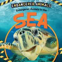 Cover image for Endangered Animals in the Sea