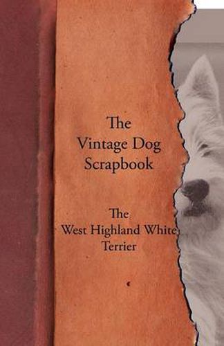 Cover image for The Vintage Dog Scrapbook - The West Highland White Terrier