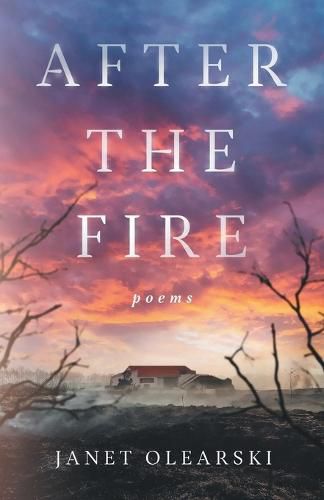 Cover image for After the Fire: poems