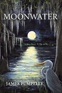 Cover image for Moonwater