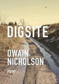 Cover image for Digsite