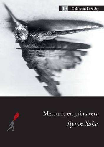 Cover image for Mercurio en primavera